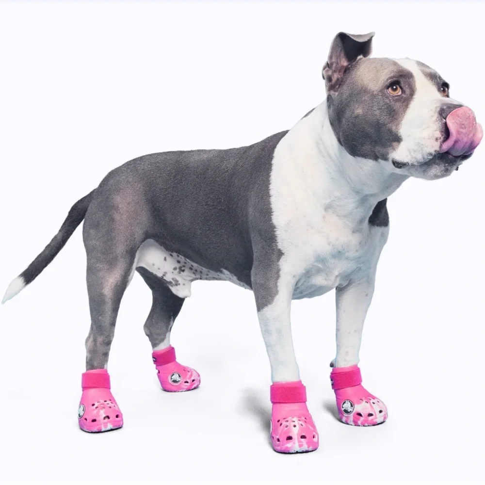 Bark Crocs for Dogs - Picture 2 of 10